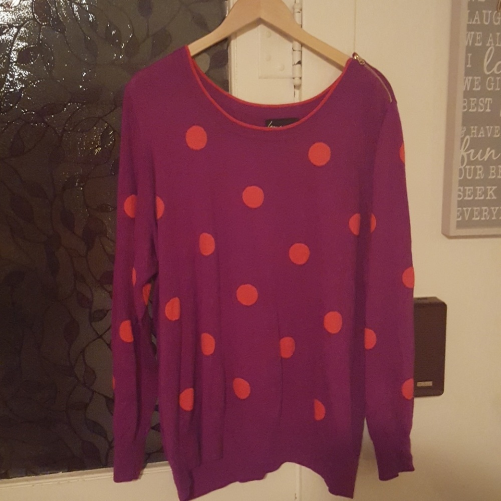 Lane Bryant Sweater with Cute Zipper detail